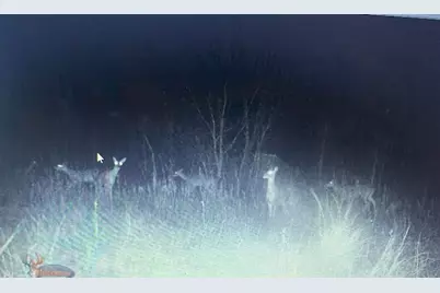 Tbd Hcr 3430, Bynum, TX 76631 - Photo 18