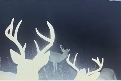 Tbd Hcr 3430, Bynum, TX 76631 - Photo 22