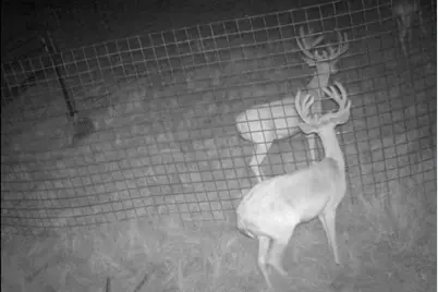 Tbd 80 +/- Acres County Road 194, Ovalo, TX 79541 - Photo 12