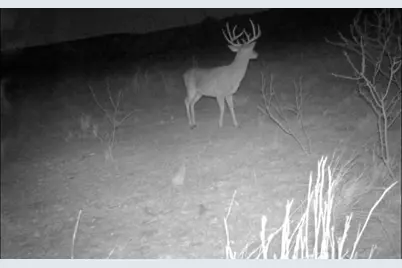 Tbd 80 +/- Acres County Road 194, Ovalo, TX 79541 - Photo 10