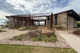 11008 Summer Rain Blvd, Aubrey, TX 76227 - Photo 28