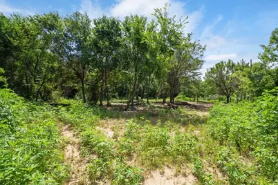 1247 County Road 4590, Boyd, TX 76023 - Photo 6
