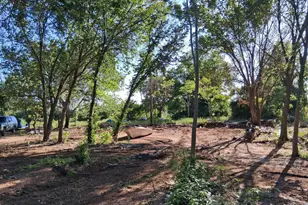 1247 Co Rd 4590, Boyd, TX 76023 - Photo 1