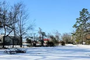 140 Pecan St, Blossom, TX 75416 - Photo 12