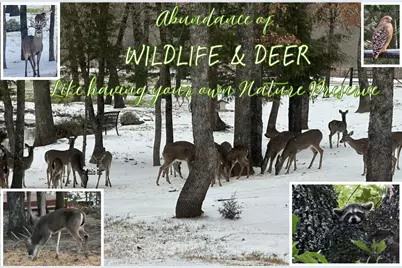 8004 County Road 2412, Quinlan, TX 75474 - Photo 2