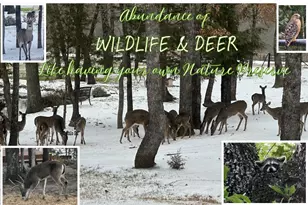 8004 Co Rd 2412, Quinlan, TX 75474 - Photo 2