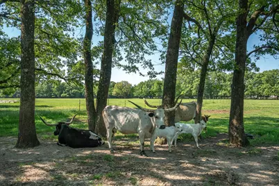 8004 County Road 2412, Quinlan, TX 75474 - Photo 40