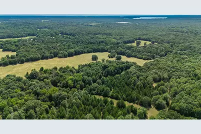 21 Acres Fm 69, Quitman, TX 75783 - Photo 2