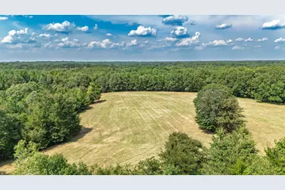 21 Acres Fm 69, Quitman, TX 75783 - Photo 12