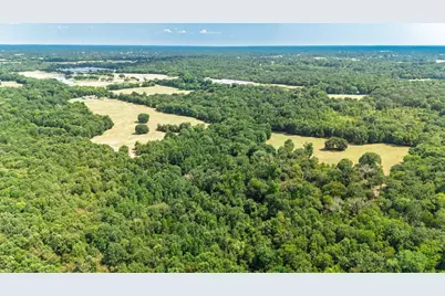 21 Acres Fm 69, Quitman, TX 75783 - Photo 6