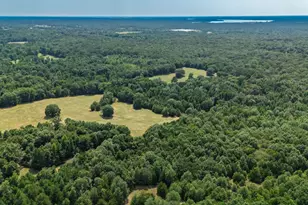 21 Acres Fm 69, Quitman, TX 75783 - Photo 1