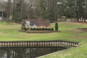 197 Holly Hill Cir, Holly Lake Ranch, TX 75765 - Photo 36