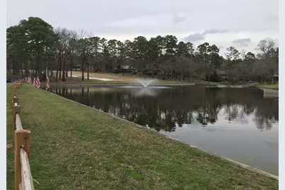 197 Holly Hill Circle #223G, Holly Lake Ranch, TX 75765 - Photo 38