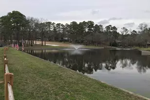 197 Holly Hill Cir, Holly Lake Ranch, TX 75765 - Photo 38