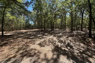 179 Rs County Rd 2572, Alba, TX 75410 - Photo 1