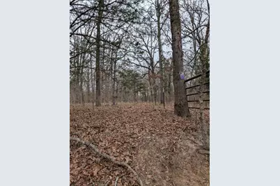 179 Rs County Road 2572, Alba, TX 75410 - Photo 2