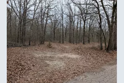 179 Rs County Road 2572, Alba, TX 75410 - Photo 10