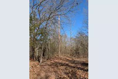 179 Rs County Road 2572, Alba, TX 75410 - Photo 4