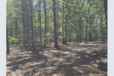 179 Rs County Road 2572, Alba, TX 75410 - Photo 4