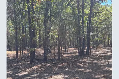 179 Rs County Road 2572, Alba, TX 75410 - Photo 8