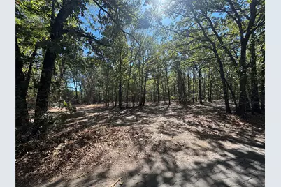 179 Rs County Road 2572, Alba, TX 75410 - Photo 6