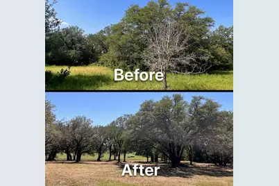 Tbd N Fm 200, Rainbow, TX 76077 - Photo 12