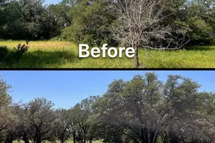 Tbd N Fm 200, Rainbow, TX 76077 - Photo 12