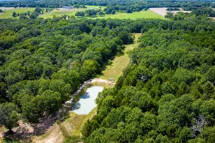 2121 Canyon Lake Rd, Wills Point, TX 75169 - Photo 38