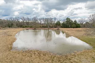 9325 County Rd 4074, Scurry, TX 75158 - Photo 34