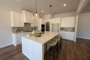 317 Skeen Peak, Springtown, TX 76082 - Photo 8