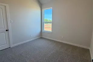 317 Skeen Peak, Springtown, TX 76082 - Photo 20