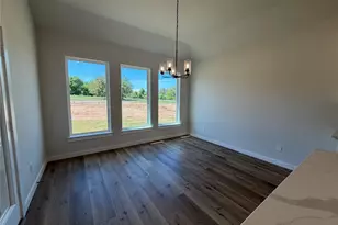 317 Skeen Peak, Springtown, TX 76082 - Photo 12