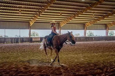 1461 Hog Town Rd Road, Collinsville, TX 76233 - Photo 20