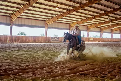 1461 Hog Town Rd Road, Collinsville, TX 76233 - Photo 10