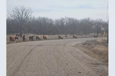 30 Oasis Ct Court, Perrin, TX 76449 - Photo 14
