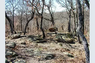 401 Mountain View Court, Sunset, TX 76270 - Photo 4