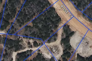 1025 Rose Ct, Nemo, TX 76070 - Photo 1