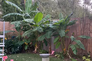 1525 Jenson Rd, Fort Worth, TX 76112 - Photo 40