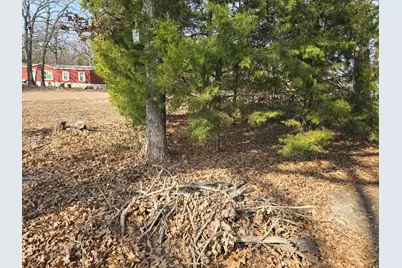 320 Double Bridge Road, Mabank, TX 75156 - Photo 6