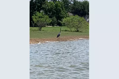 2820 Appaloosa Court, Little Elm, TX 75068 - Photo 40