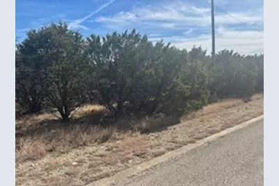 Carnoustie Dr Carnoustie, Graford, TX 76449 - Photo 2