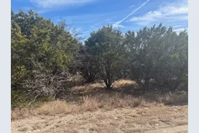 Carnoustie Dr Carnoustie, Graford, TX 76449 - Photo 1