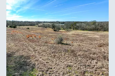 000 Vz County Road 2411, Canton, TX 75103 - Photo 14