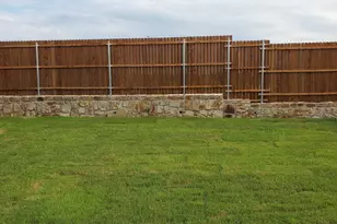 709 Peach Tree Ln, Anna, TX 75409 - Photo 2