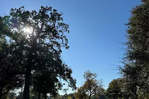 826 Blaylock Dr, Dallas, TX 75203 - Photo 20