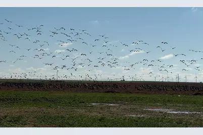 Tbd Fm 2365, Knox City, TX 79529 - Photo 14