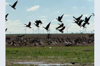 Tbd Fm 2365, Knox City, TX 79529 - Photo 12