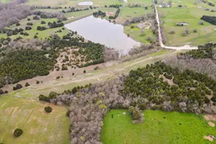 25 256 Acres Cr-672, Blue Ridge, TX 75424 - Photo 1