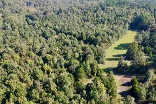 3299 Cr 1579-2, Avinger, TX 75630 - Photo 38