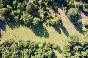 3299 Cr 1579-2, Avinger, TX 75630 - Photo 30